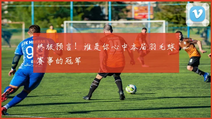 终极预言！谁是你心中本届羽毛球赛事的冠军