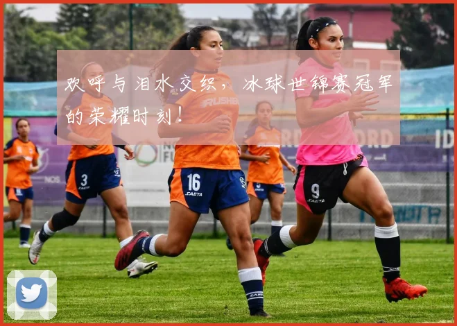 欢呼与泪水交织，冰球世锦赛冠军的荣耀时刻！